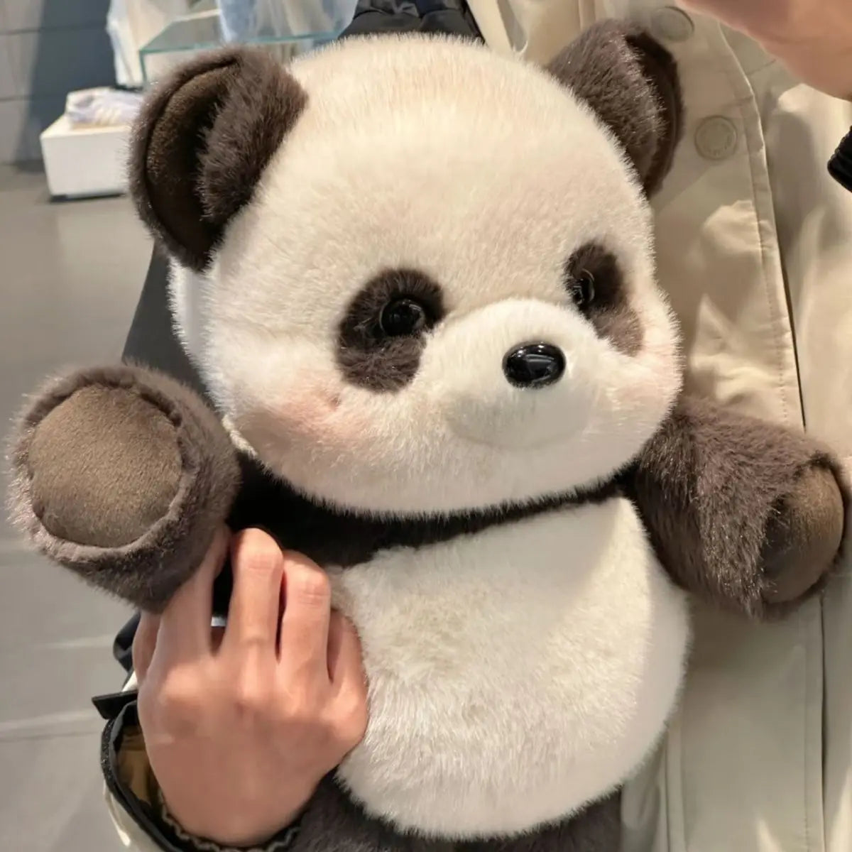 Bandit the Running Panda